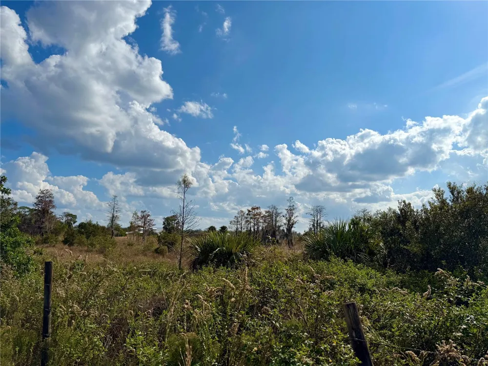LOT 9 FORT CHRISTMAS ROAD Christmas, FL 32709