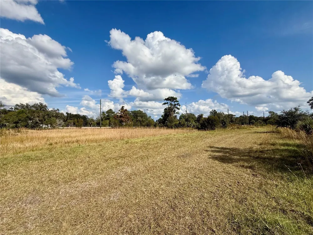 LOT 9 FORT CHRISTMAS ROAD Christmas, FL 32709