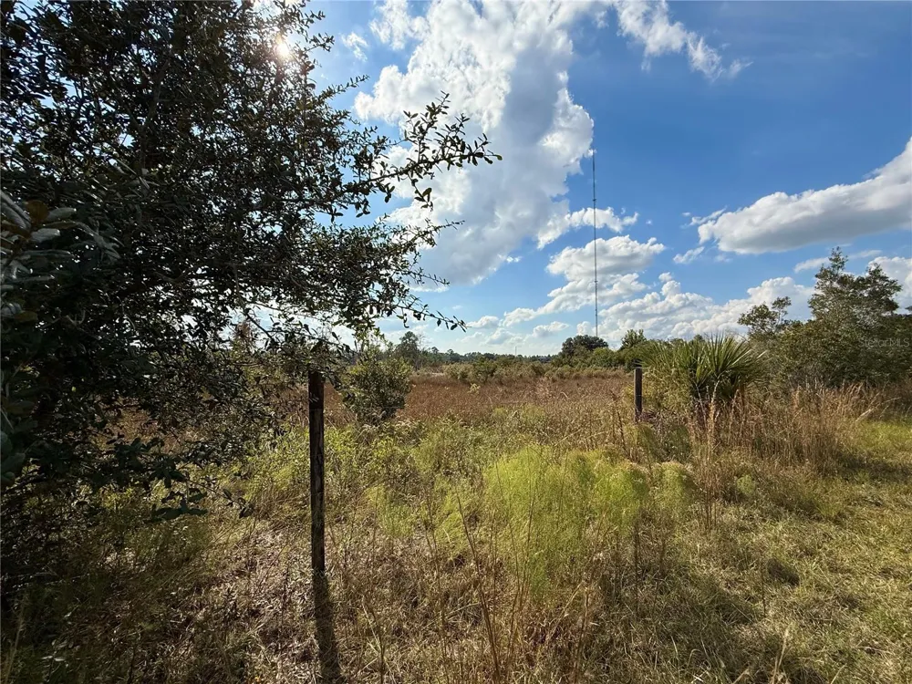 LOT 9 FORT CHRISTMAS ROAD Christmas, FL 32709