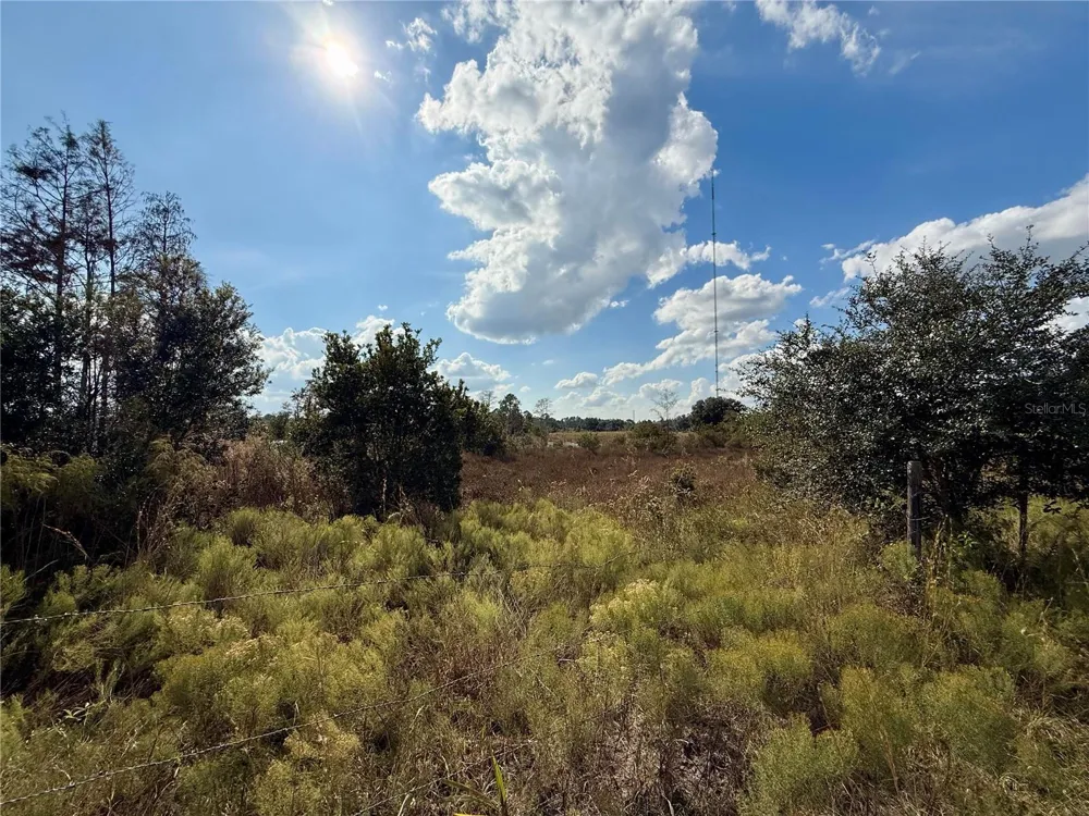 LOT 9 FORT CHRISTMAS ROAD Christmas, FL 32709