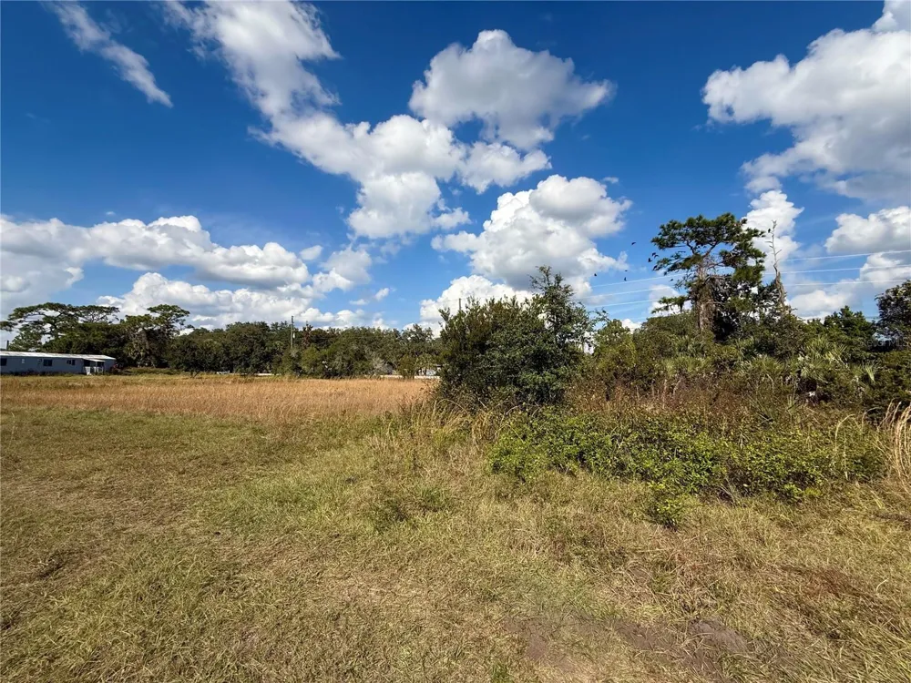 LOT 9 FORT CHRISTMAS ROAD Christmas, FL 32709