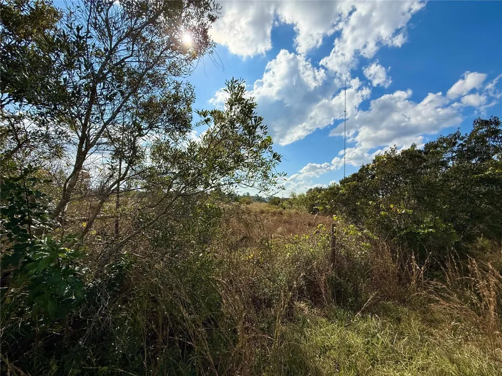 LOT 9 FORT CHRISTMAS ROAD Christmas, FL 32709