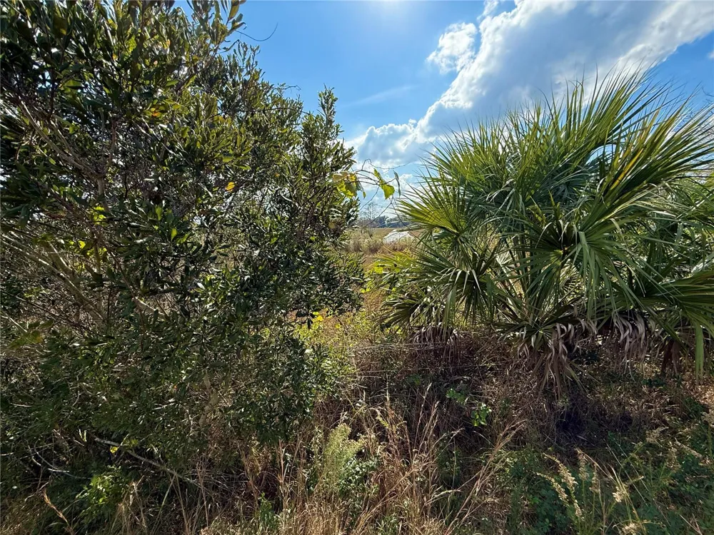 LOT 9 FORT CHRISTMAS ROAD Christmas, FL 32709