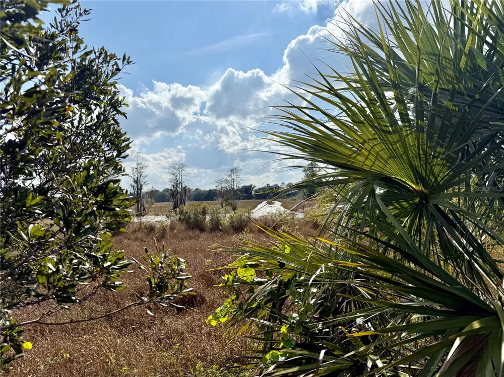 LOT 9 FORT CHRISTMAS ROAD Christmas, FL 32709