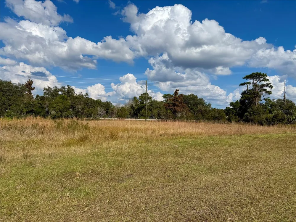 LOT 9 FORT CHRISTMAS ROAD Christmas, FL 32709