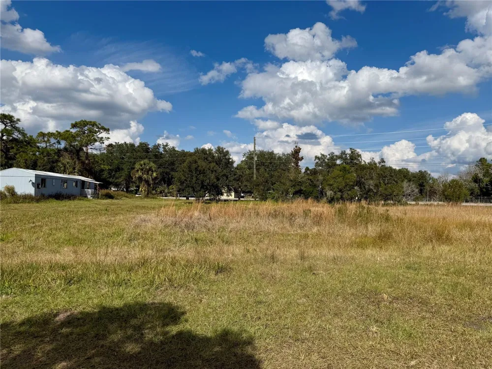 LOT 9 FORT CHRISTMAS ROAD Christmas, FL 32709