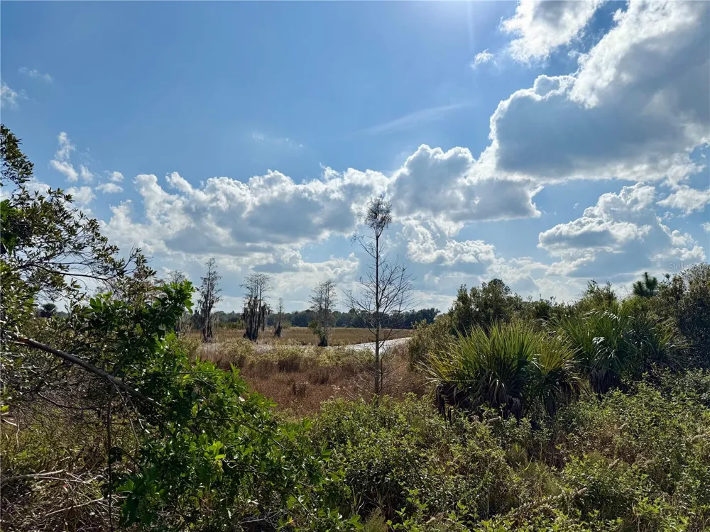 LOT 9 FORT CHRISTMAS ROAD Christmas, FL 32709
