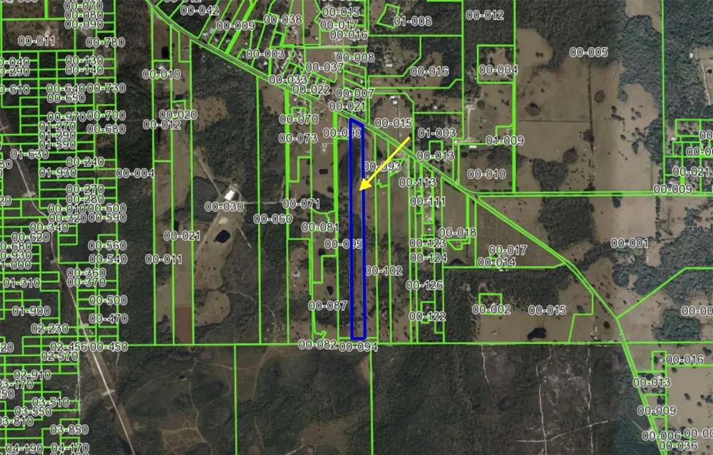 LOT 9 FORT CHRISTMAS ROAD Christmas, FL 32709
