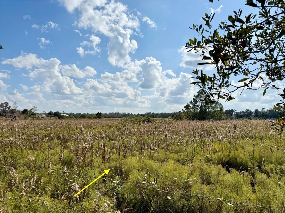 LOT 9 FORT CHRISTMAS ROAD Christmas, FL 32709