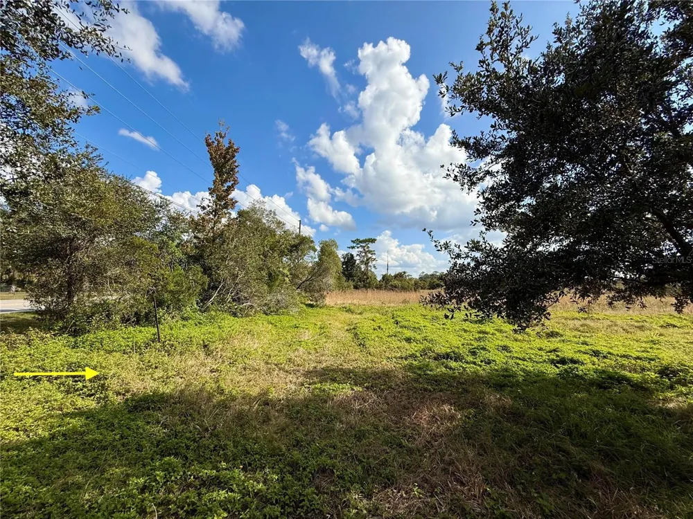 LOT 9 FORT CHRISTMAS ROAD Christmas, FL 32709