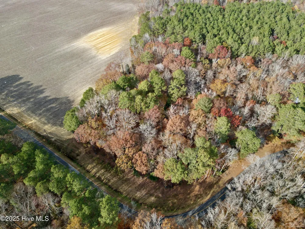 0 Williams Road Williamston, NC 27892