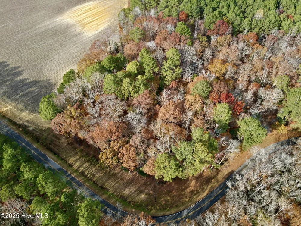 0 Williams Road Williamston, NC 27892
