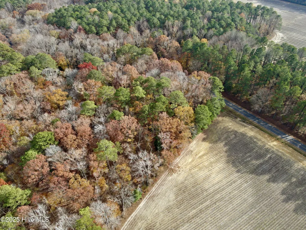 0 Williams Road Williamston, NC 27892