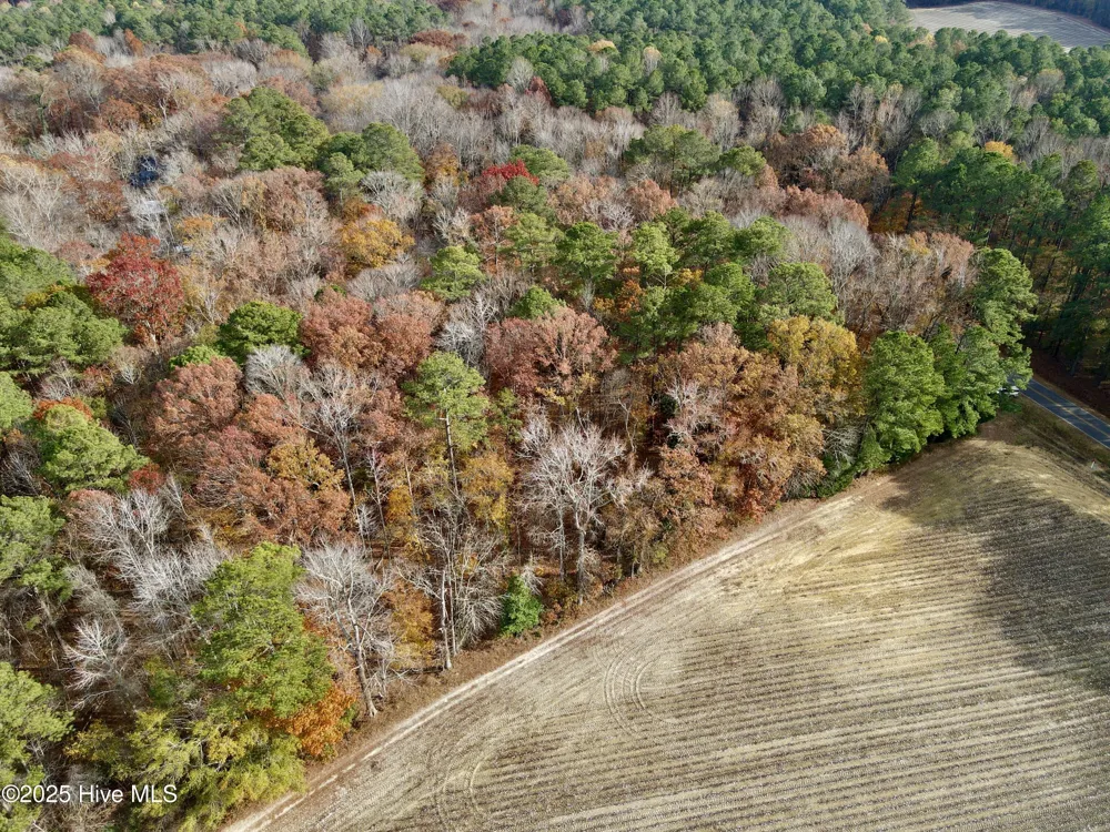 0 Williams Road Williamston, NC 27892