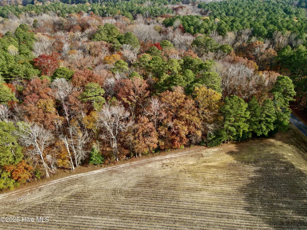 0 Williams Road Williamston, NC 27892