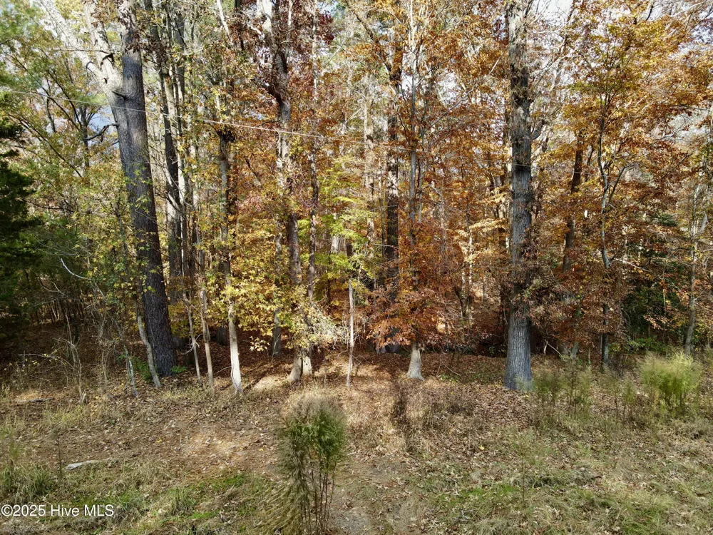 0 Williams Road Williamston, NC 27892
