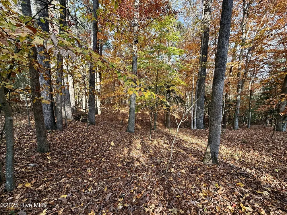 0 Williams Road Williamston, NC 27892