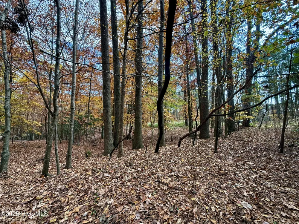 0 Williams Road Williamston, NC 27892