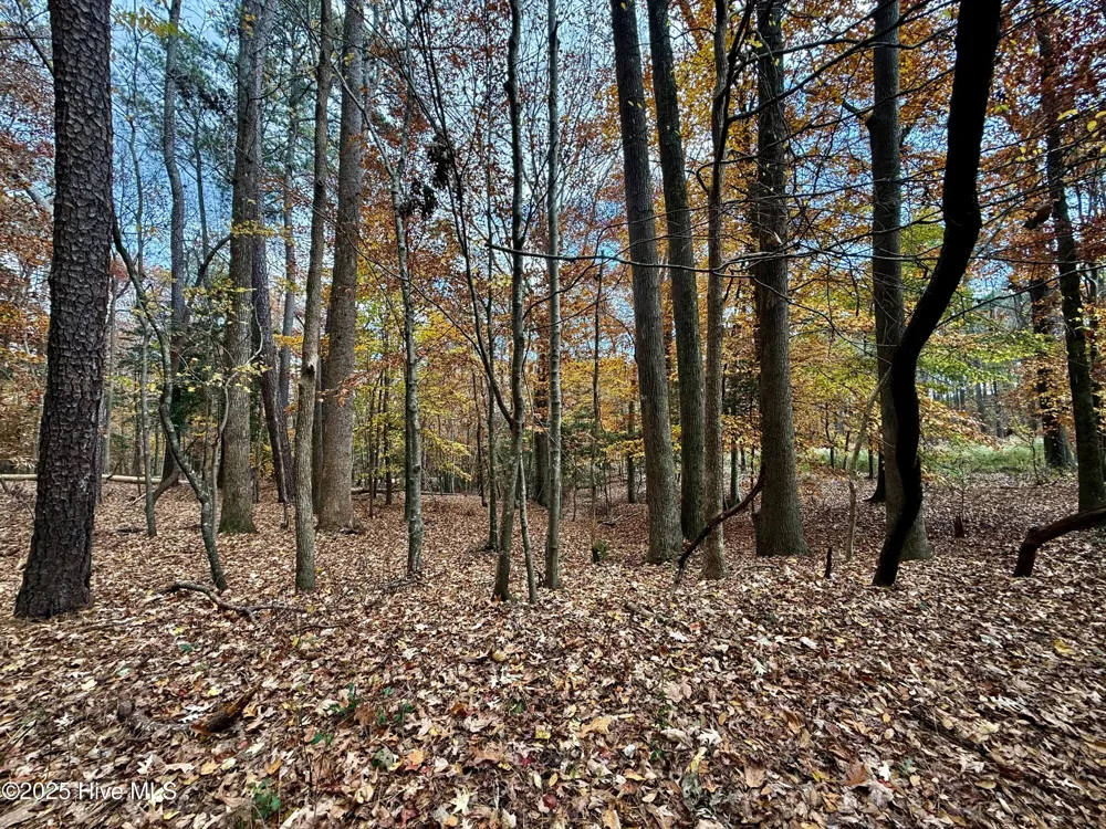 0 Williams Road Williamston, NC 27892