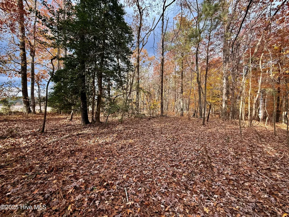 0 Williams Road Williamston, NC 27892