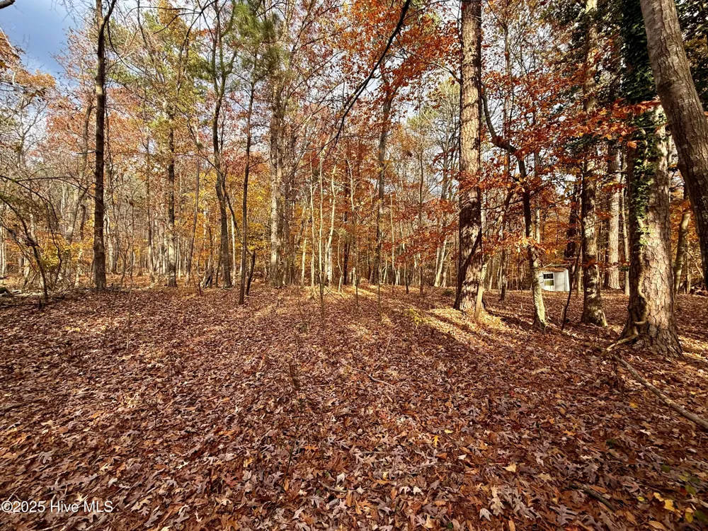 0 Williams Road Williamston, NC 27892