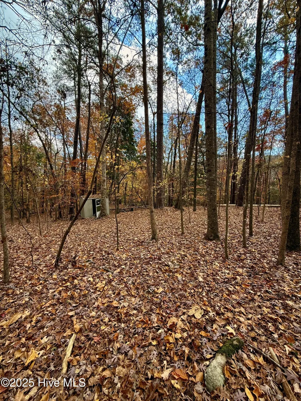0 Williams Road Williamston, NC 27892