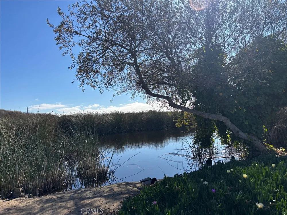 377 Juanita Oceano, CA 93445