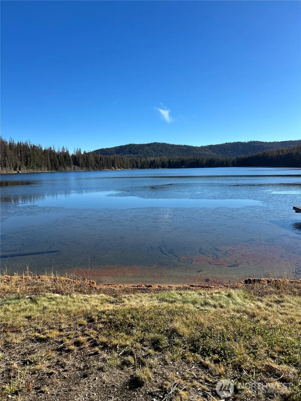 5 Moore Riverside, WA 98840