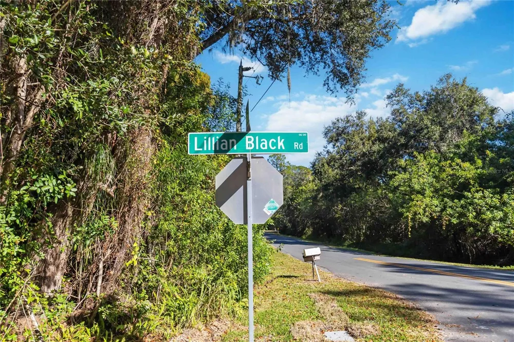 0 LILLIAN BLACK ROAD St Cloud, FL 34771