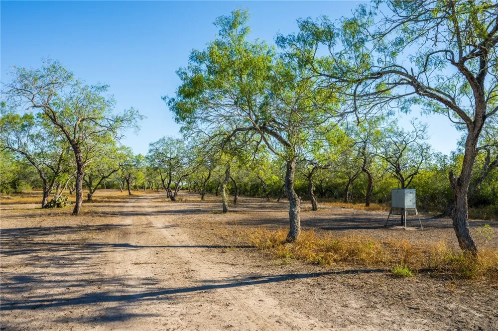 5133 County Road 95 Robstown, TX 78380