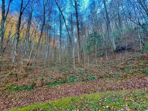 22 Walker Ridge