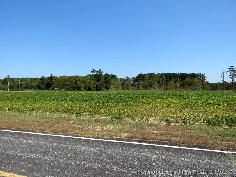 Cowpen Swamp Road Fairmont, NC 28340