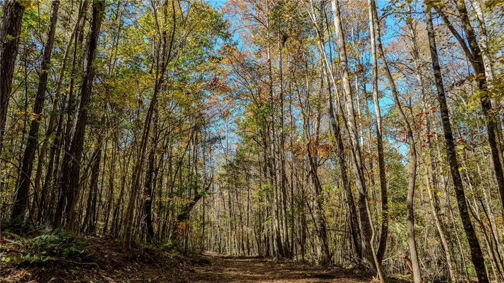 0 Jones Ferry Road #LOt 3 Chattahoochee Hills, GA 30268