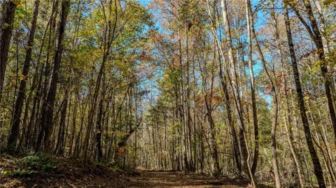 0 Jones Ferry Road #LOt 3