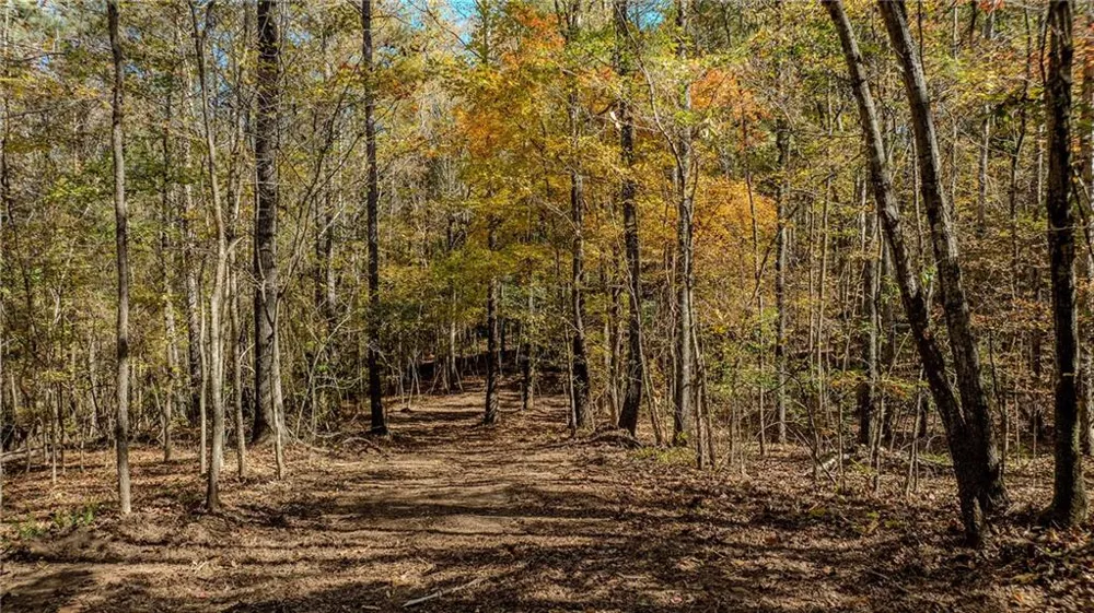 0 Jones Ferry Road #LOt 3 Chattahoochee Hills, GA 30268