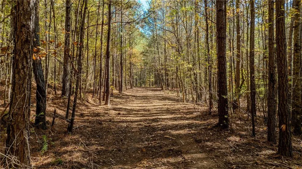 0 Jones Ferry Road #LOt 3 Chattahoochee Hills, GA 30268