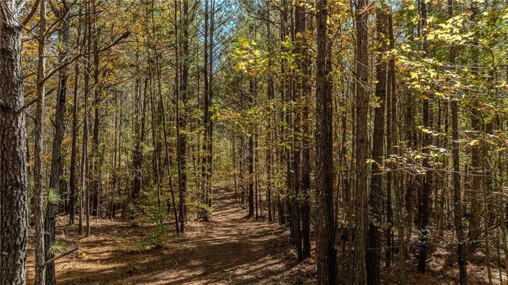 0 Jones Ferry Road #LOt 3 Chattahoochee Hills, GA 30268