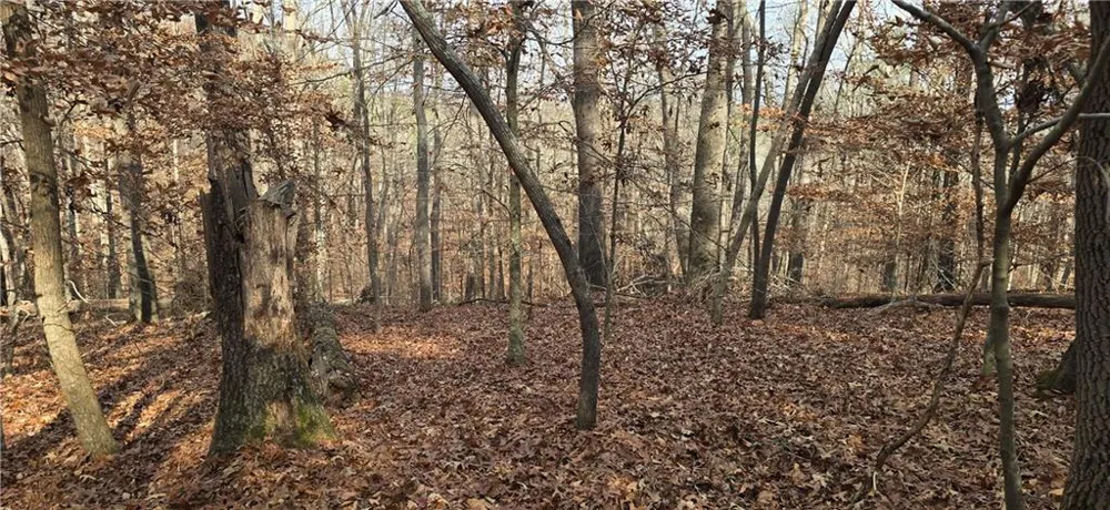 00001 Matt Highway Ball Ground, GA 30107