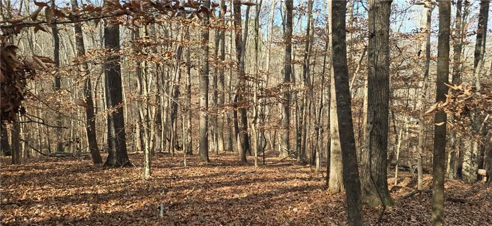 00001 Matt Highway Ball Ground, GA 30107