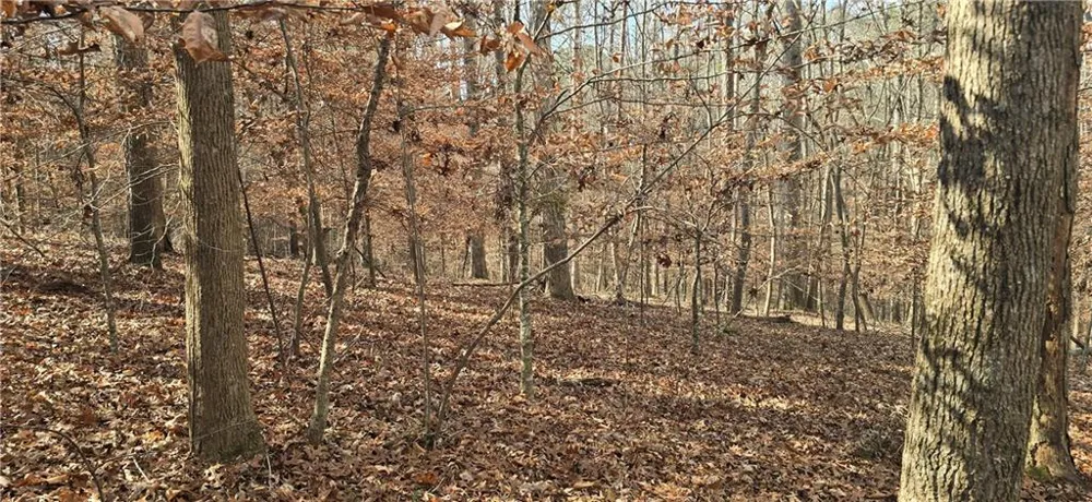 00001 Matt Highway Ball Ground, GA 30107