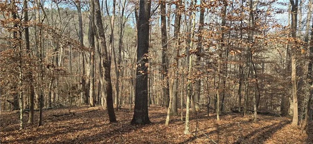 00001 Matt Highway Ball Ground, GA 30107