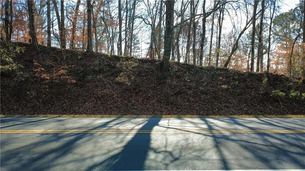 00001 Matt Highway Ball Ground, GA 30107