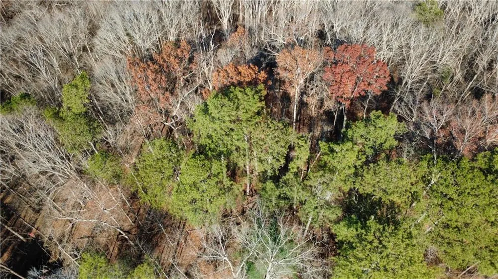 00001 Matt Highway Ball Ground, GA 30107