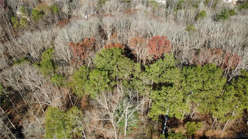00001 Matt Highway Ball Ground, GA 30107