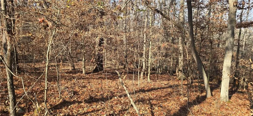00001 Matt Highway Ball Ground, GA 30107
