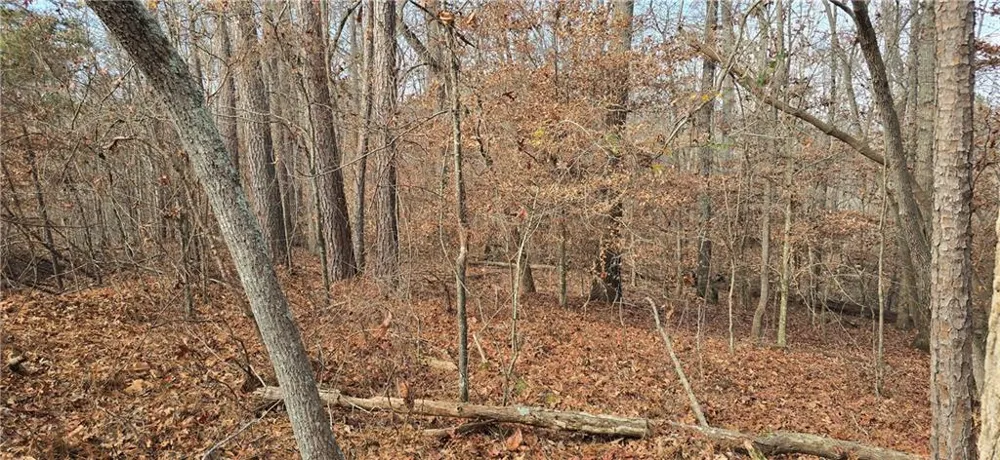 00001 Matt Highway Ball Ground, GA 30107