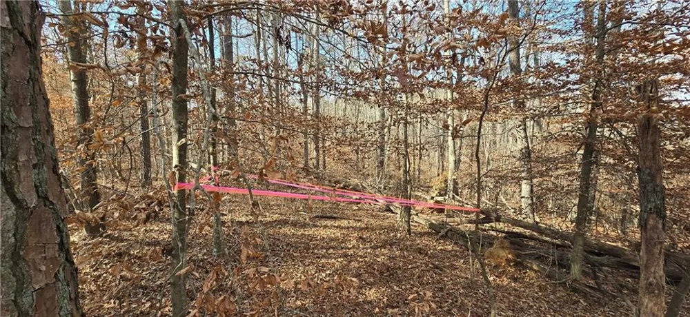 00001 Matt Highway Ball Ground, GA 30107