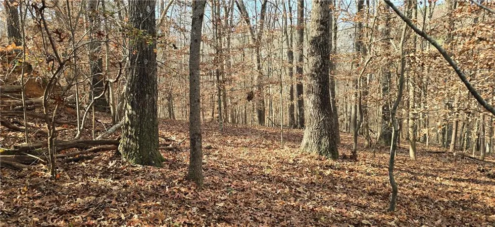00001 Matt Highway Ball Ground, GA 30107