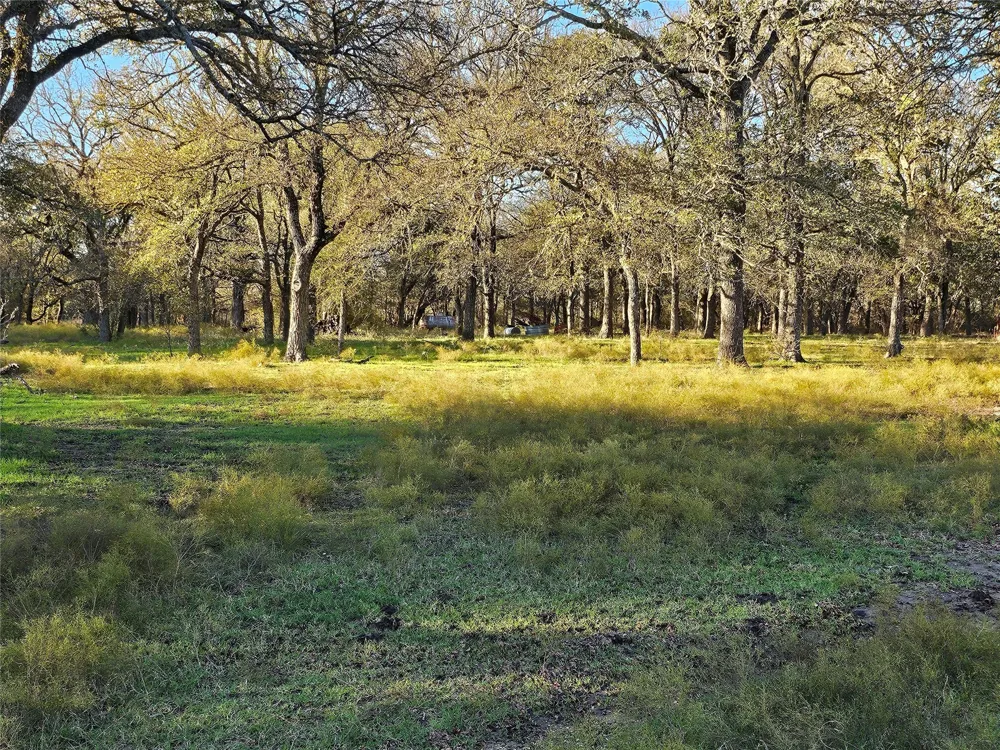 1447 Red Gate Road Mart, TX 76664