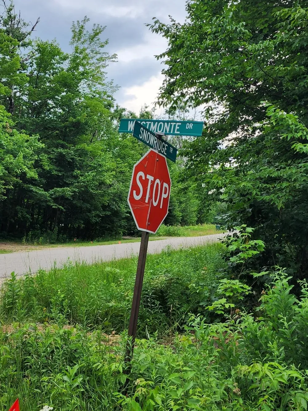 5165 Snowridge Trail Star Township, MI 49730